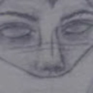 Meet your Posher, Phoenix